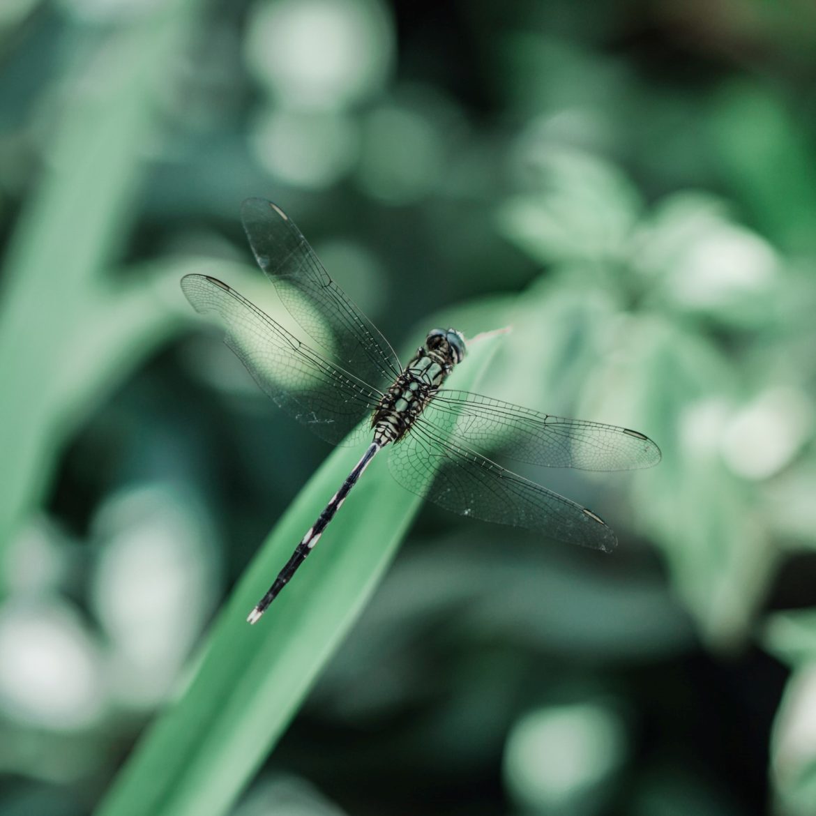 © Ardi Evans / Unsplash