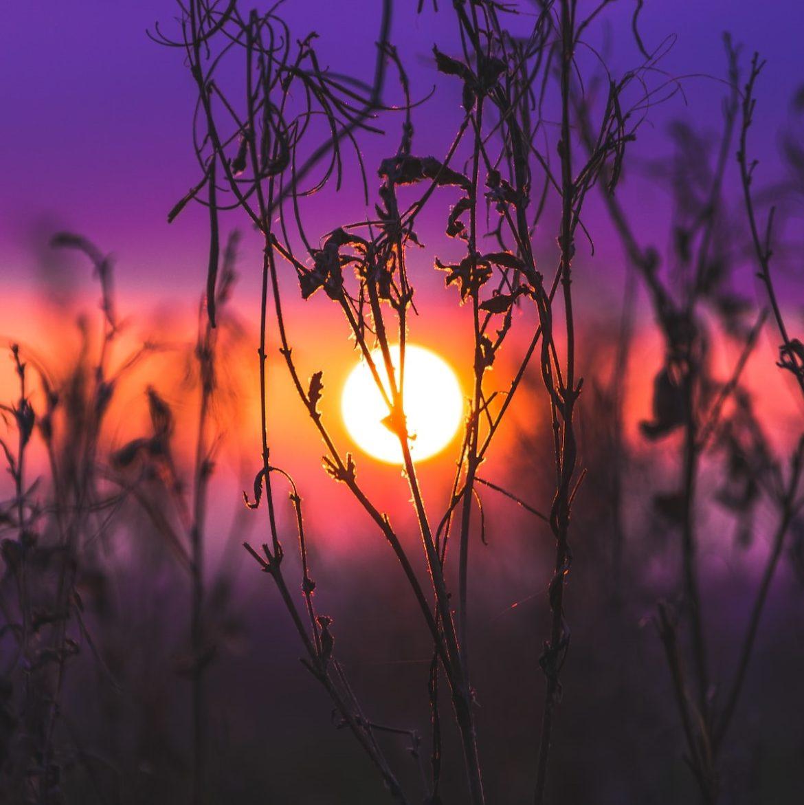 © Jack B / Unsplash