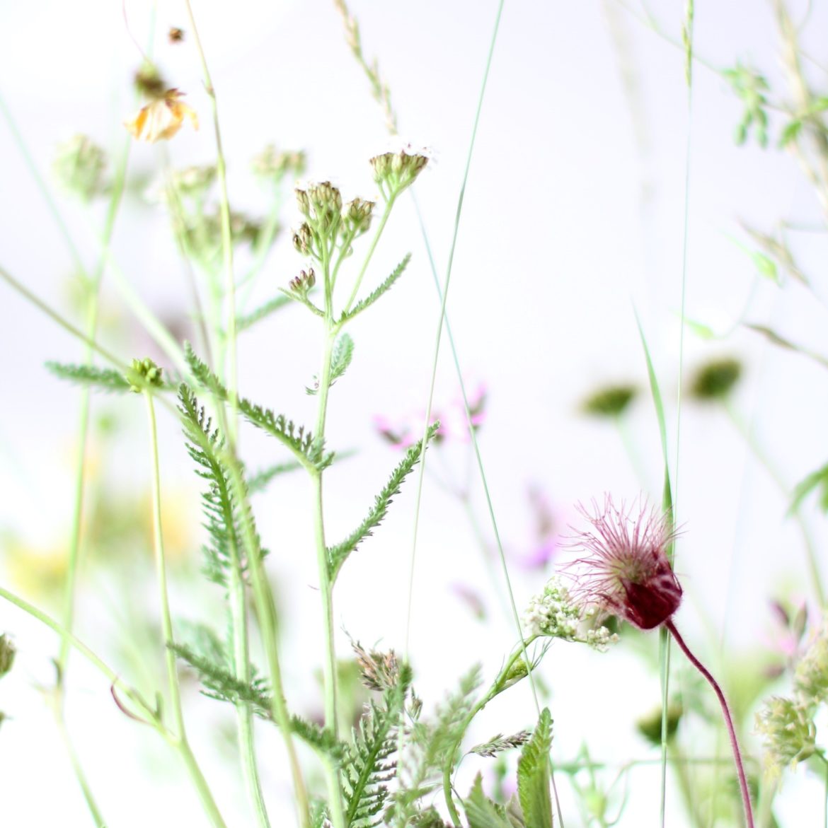 © Katrin Hauf