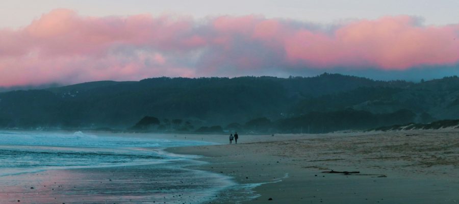 saira-ahmed-CvTR_X4wQxY-unsplash